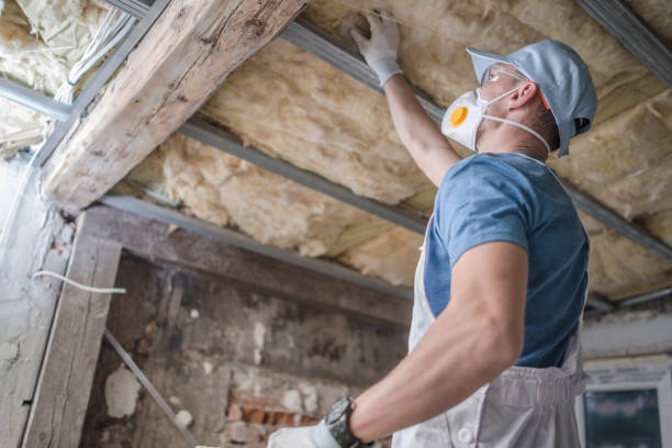 Best Insulation Materials and Products in Springfield, MI