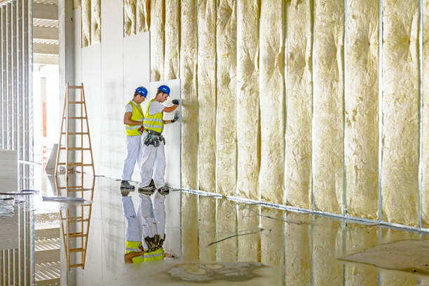 Best Energy Efficiency Solutions in Springfield, MI